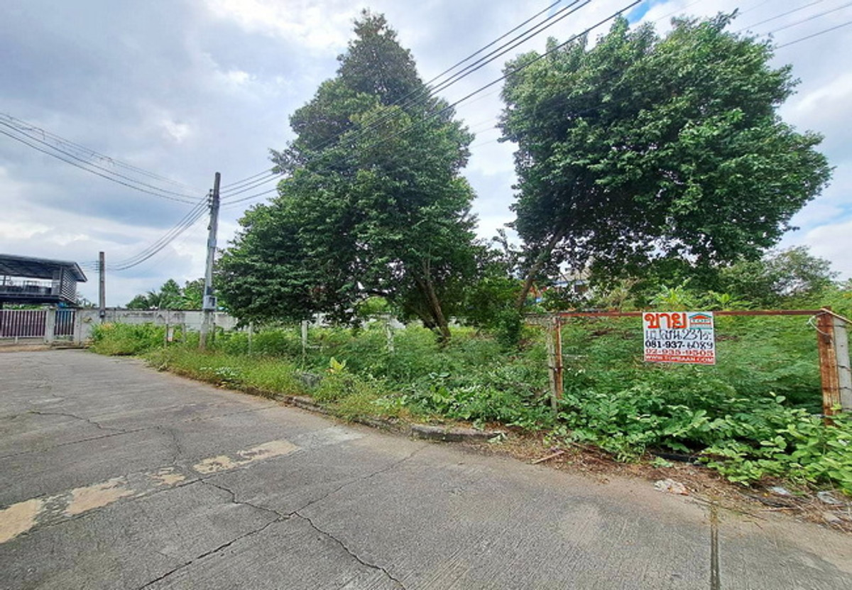 ขายที่ดินพุทธมณฑล ศาลายา : ขายที่ดิน ซอยศาลาธรรมสพน์ 13 ถนนบรมราชชนนี เนื้อที่ 231 ตร.ว. ถมแล้ว ราคาต่อรองได้