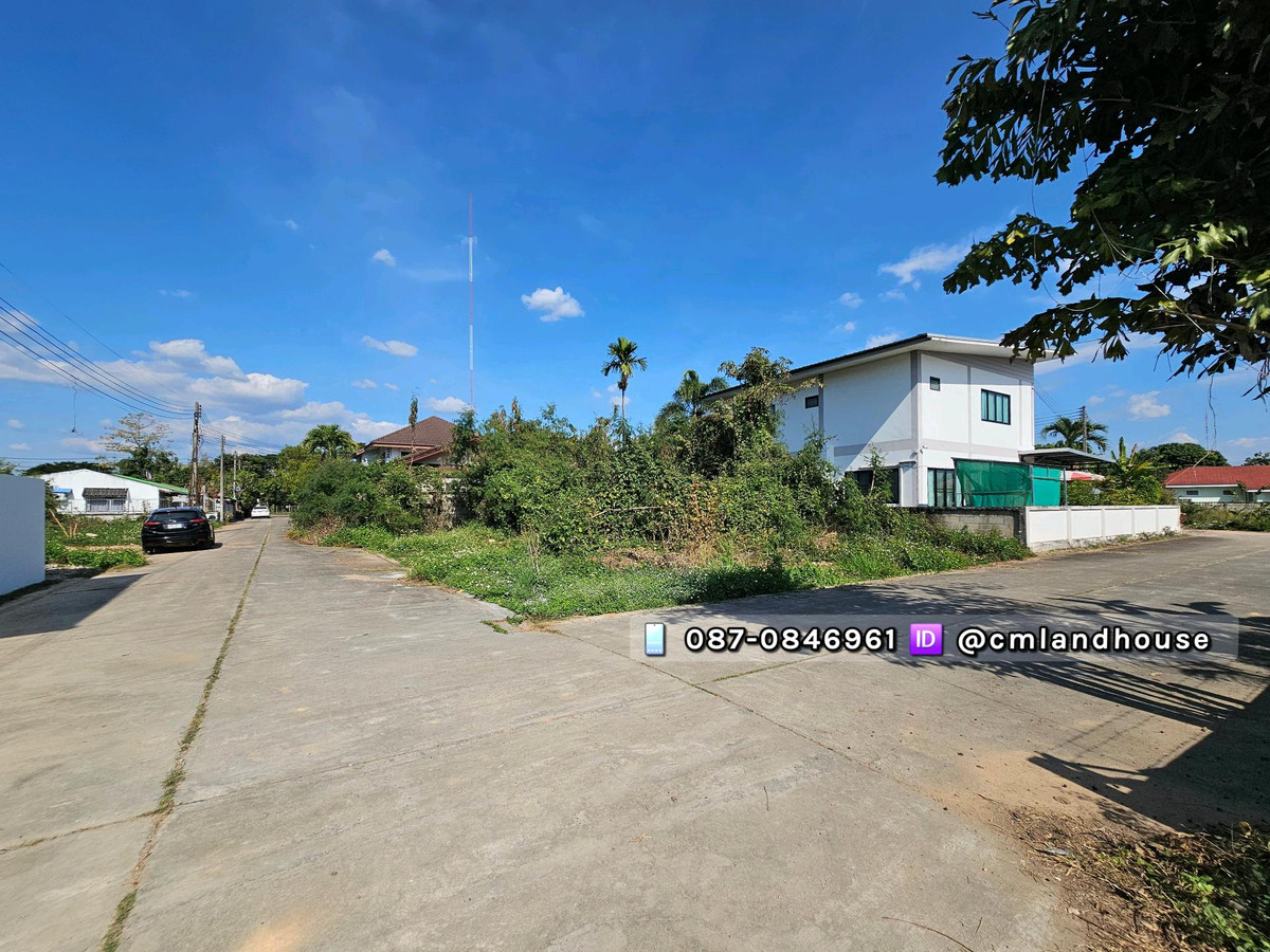 ขายที่ดินเชียงใหม่ : ที่ดินแปลงมุม 59 ตรว. ขายถูก 11,000/ตรว. ต.สันทรายหลวง ใกล้การไฟฟ้าสันทราย ใกล้ถนนสันทรายสายเก่าแค่ 150 ม. มีรถประจำทางผ่านทั้งวัน เดินไปขึ้นรถได้