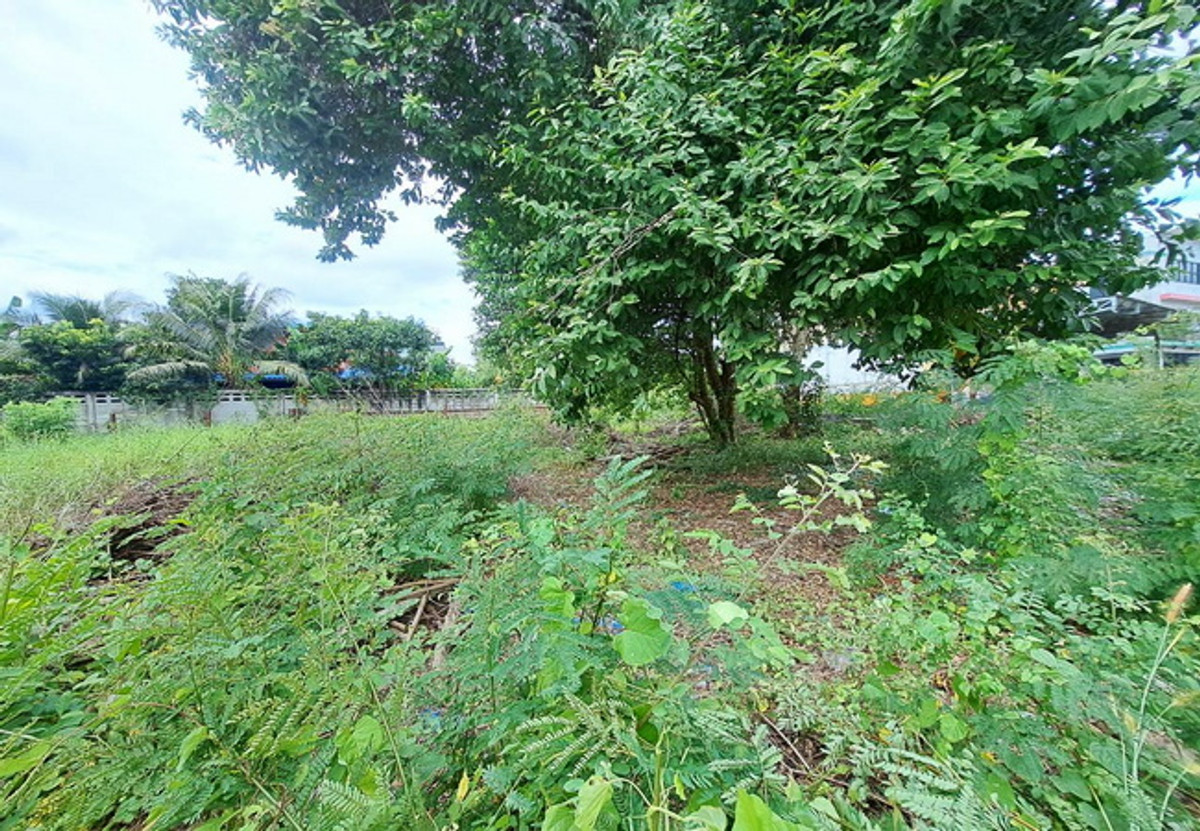 ขายที่ดินพุทธมณฑล ศาลายา : ขายที่ดิน ซอยศาลาธรรมสพน์ 13 ถนนบรมราชชนนี เนื้อที่ 231 ตร.ว. ถมแล้ว ราคาต่อรองได้