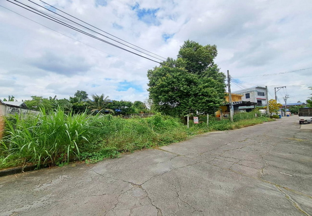 ขายที่ดินพุทธมณฑล ศาลายา : ขายที่ดิน ซอยศาลาธรรมสพน์ 13 ถนนบรมราชชนนี เนื้อที่ 231 ตร.ว. ถมแล้ว ราคาต่อรองได้