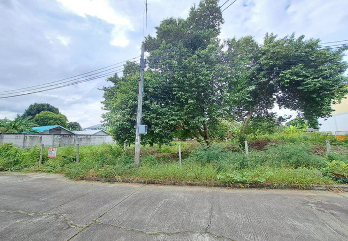 ขายที่ดินพุทธมณฑล ศาลายา : ขายที่ดิน ซอยศาลาธรรมสพน์ 13 ถนนบรมราชชนนี เนื้อที่ 231 ตร.ว. ถมแล้ว ราคาต่อรองได้