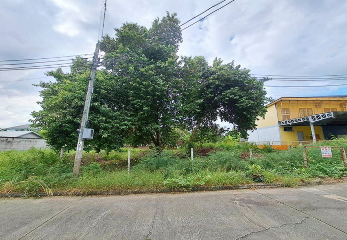 ขายที่ดินพุทธมณฑล ศาลายา : ขายที่ดิน ซอยศาลาธรรมสพน์ 13 ถนนบรมราชชนนี เนื้อที่ 231 ตร.ว. ถมแล้ว ราคาต่อรองได้