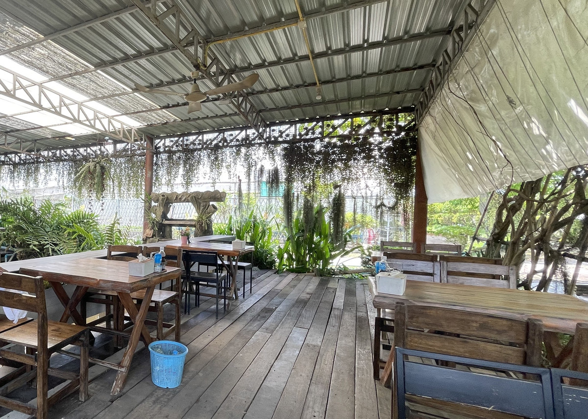 ขายร้านค้า/ตลาดนัดพุทธมณฑล ศาลายา : ขายไร่เหมือนจันทร์ ที่ดินทวีวัฒนา พร้อมสิ่งปลูกสร้าง คาเฟ่ ร้านอาหาร โรงเรือนปลูกผัก #ที่ดินทวีวัฒนา