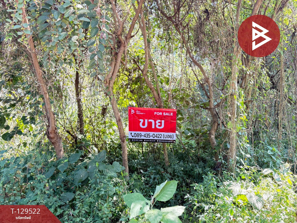 For SaleLandChiang Mai : Land for sale, area 79 square meters, Ban Nam Bo Luang, San Pa Tong, Chiang Mai.