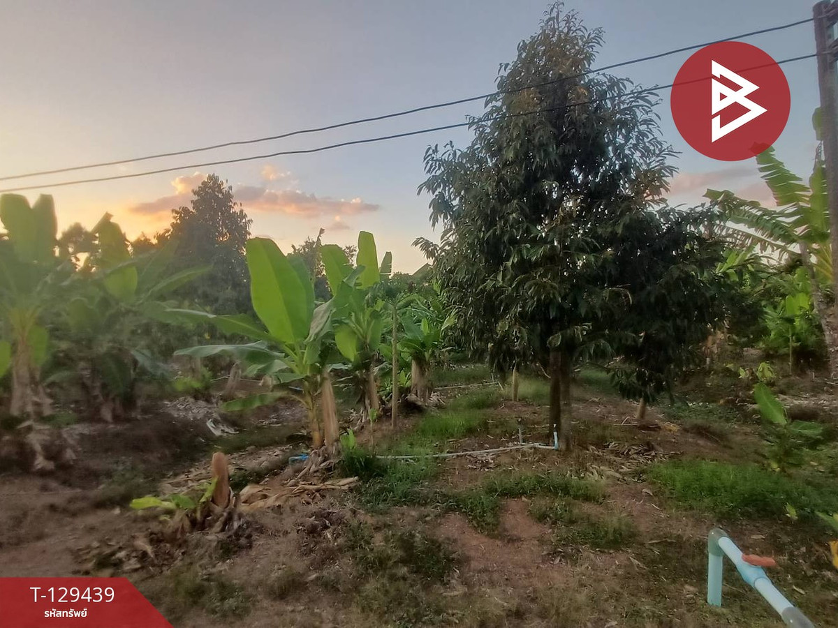 For SaleLandChanthaburi : Land for sale with garden, area 9 rai 3 ngan 73 sq m, Na Yai Am, Chanthaburi.