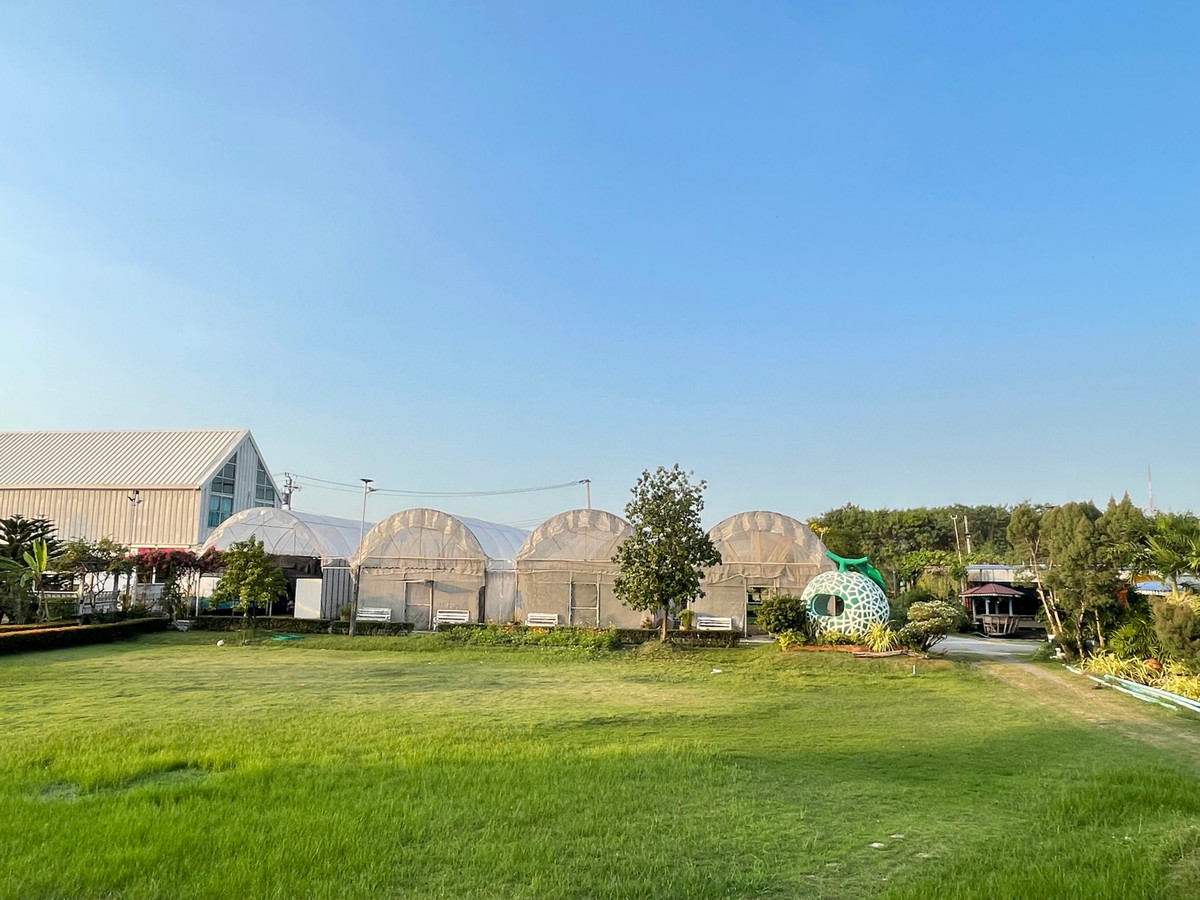 ขายร้านค้า/ตลาดนัดพุทธมณฑล ศาลายา : ขายไร่เหมือนจันทร์ ที่ดินทวีวัฒนา พร้อมสิ่งปลูกสร้าง คาเฟ่ ร้านอาหาร โรงเรือนปลูกผัก #ที่ดินทวีวัฒนา