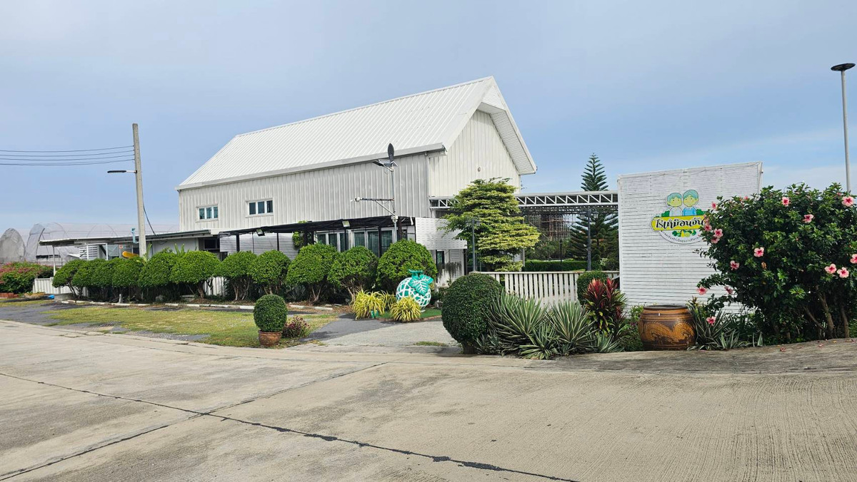 ขายร้านค้า/ตลาดนัดพุทธมณฑล ศาลายา : ขายไร่เหมือนจันทร์ ที่ดินทวีวัฒนา พร้อมสิ่งปลูกสร้าง คาเฟ่ ร้านอาหาร โรงเรือนปลูกผัก #ที่ดินทวีวัฒนา