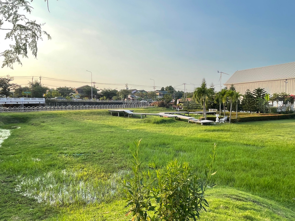 ขายร้านค้า/ตลาดนัดพุทธมณฑล ศาลายา : ขายไร่เหมือนจันทร์ ที่ดินทวีวัฒนา พร้อมสิ่งปลูกสร้าง คาเฟ่ ร้านอาหาร โรงเรือนปลูกผัก #ที่ดินทวีวัฒนา