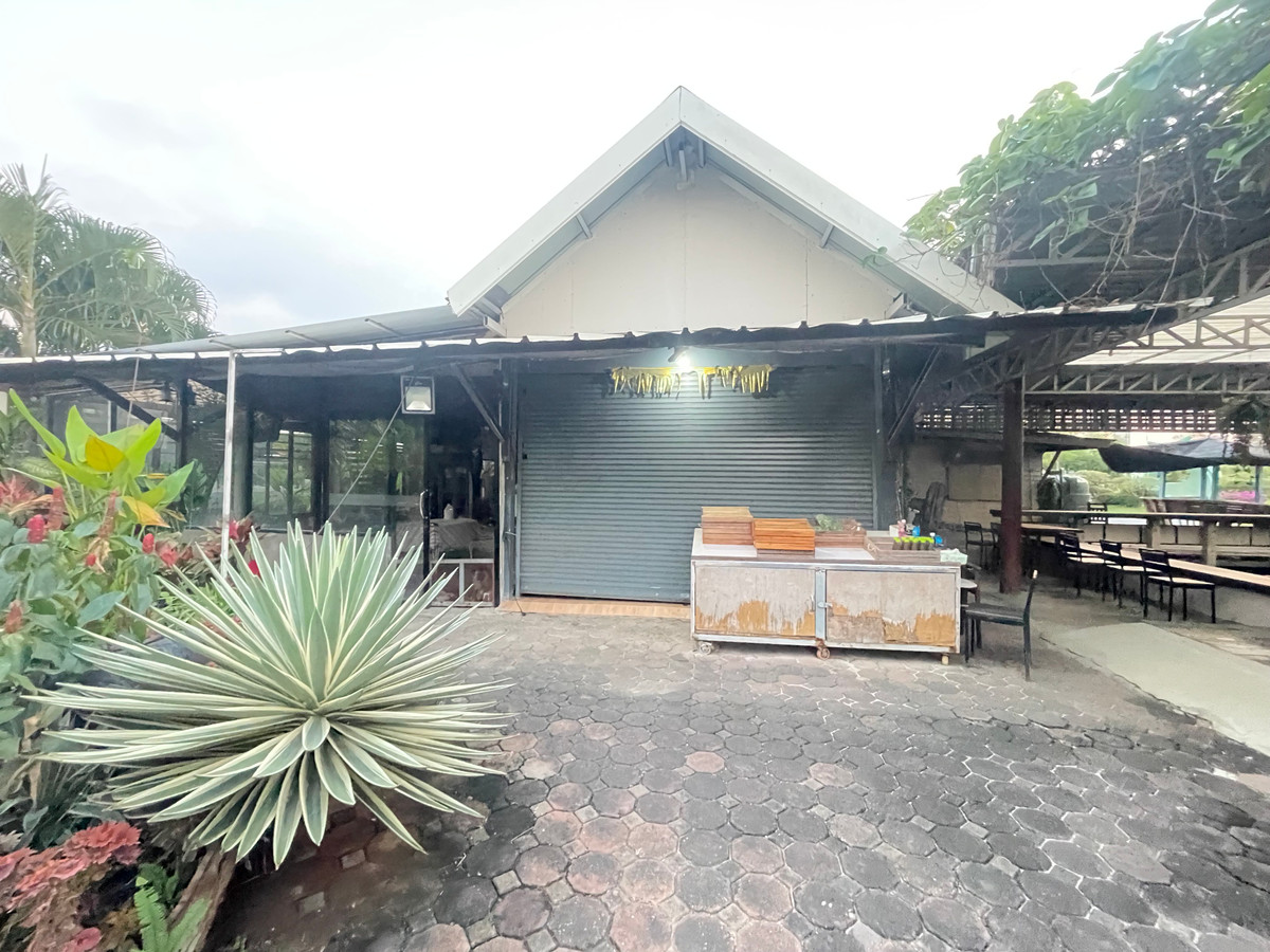 ขายร้านค้า/ตลาดนัดพุทธมณฑล ศาลายา : ขายไร่เหมือนจันทร์ ที่ดินทวีวัฒนา พร้อมสิ่งปลูกสร้าง คาเฟ่ ร้านอาหาร โรงเรือนปลูกผัก #ที่ดินทวีวัฒนา