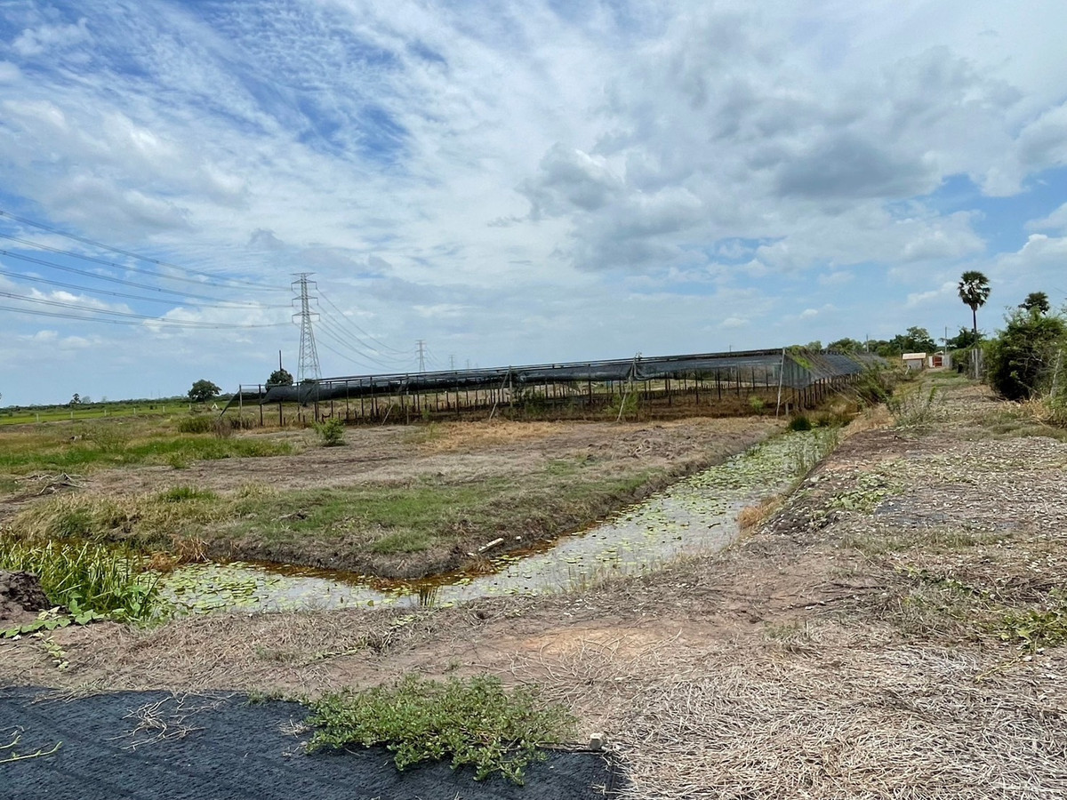 ขายที่ดินนครปฐม : ขายถูกมาก!! ที่ดิน พร้อมโรงเรือน บ้านสวน และบ่อน้ำ 8-1-54 ไร่ อ.ดอนตูม จ.นครปฐม ทำเลดีมากใกล้ตัวอำเภอ