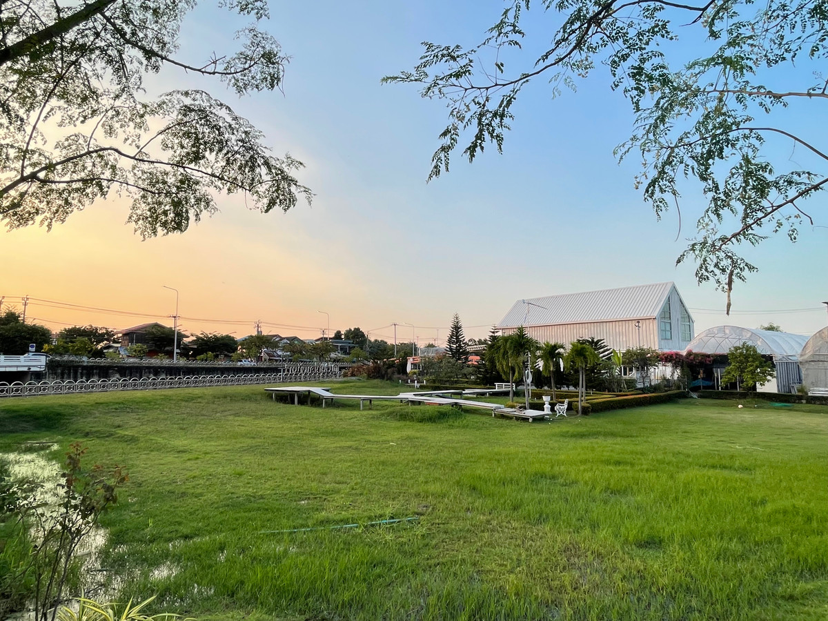 ขายร้านค้า/ตลาดนัดพุทธมณฑล ศาลายา : ขายไร่เหมือนจันทร์ ที่ดินทวีวัฒนา พร้อมสิ่งปลูกสร้าง คาเฟ่ ร้านอาหาร โรงเรือนปลูกผัก #ที่ดินทวีวัฒนา