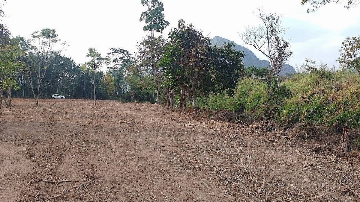 For SaleLandPak Chong KhaoYai : Land for Sale Khao Yai on Thanarat Road  649 Sq.w., Creekside Plot with Mountain Views, Red Garuda Title Deed, Near Khao Yai National Park