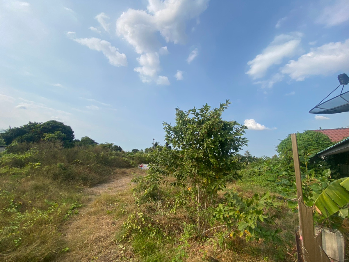 ขายที่ดินนครปฐม : ขายที่ดิน 1 ไร่ บางเตย หลังเซ็นทรัลศาลายา ใกล้ถนนบรมราชชนนี  ที่ดินรูปสี่เหลี่ยม ถนนเข้าถึง เเปลงริมใน 