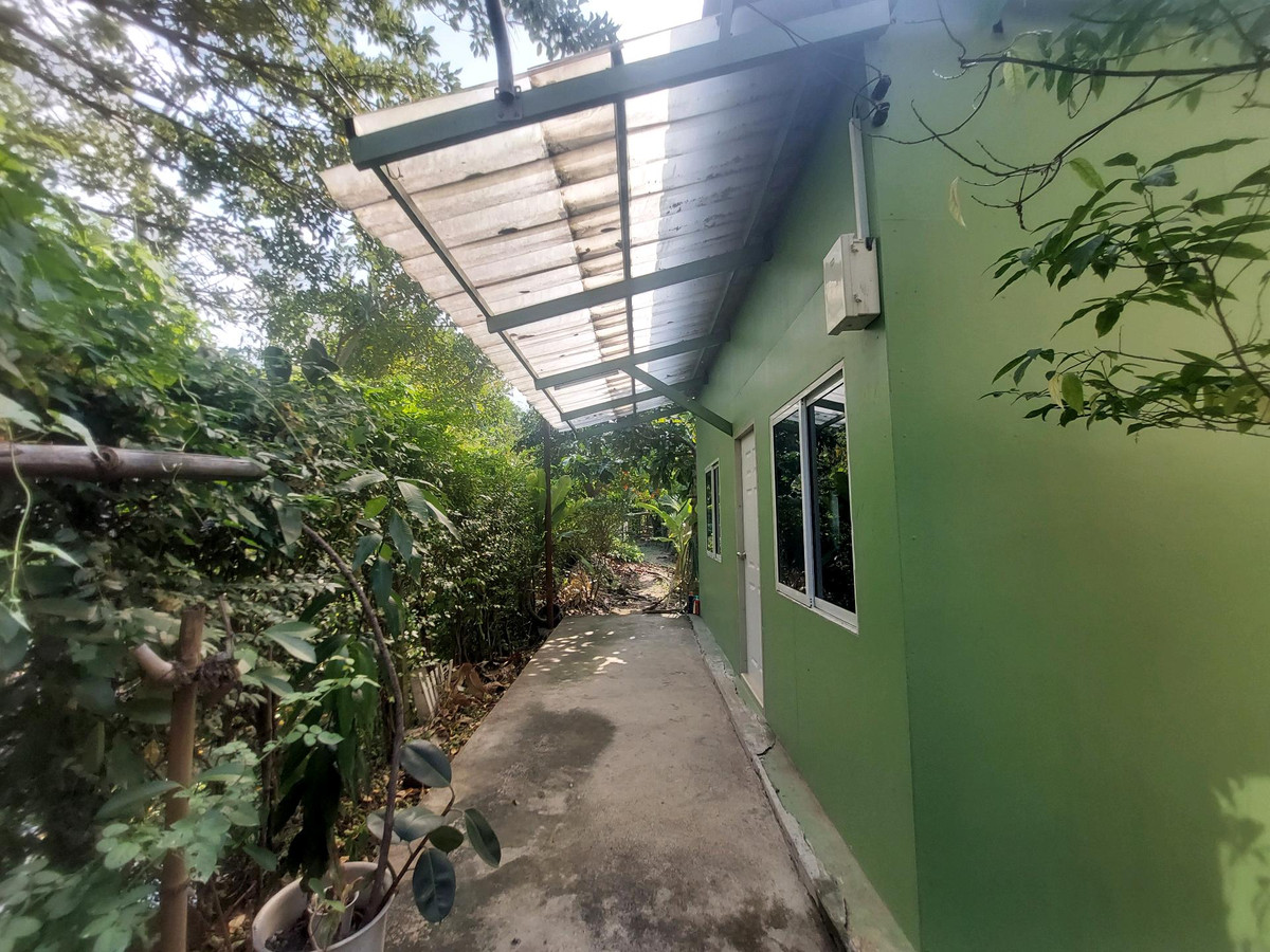 ให้เช่าบ้านปิ่นเกล้า จรัญสนิทวงศ์ : บ้านให้เช่า พร้อมอยู่ ทำเลดี เดินทางสะดวก รอบล้อมด้วยธรรมชาติ 