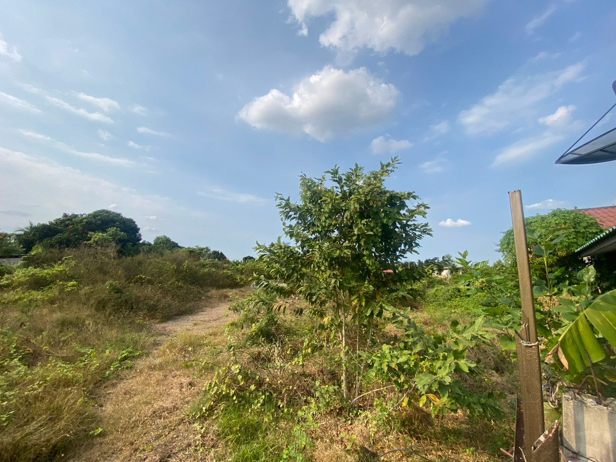 ขายที่ดินนครปฐม : ขายที่ดิน 1 ไร่ บางเตย หลังเซ็นทรัลศาลายา ใกล้ถนนบรมราชชนนี  ที่ดินรูปสี่เหลี่ยม ถนนเข้าถึง เเปลงริมใน 