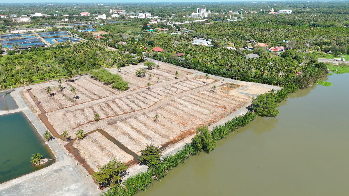 ขายที่ดินฉะเชิงเทรา : ที่ดินติดแม่น้ำบางปะกง วิวสวย ทำเลทอง ใกล้วัดสมานรัตนาราม