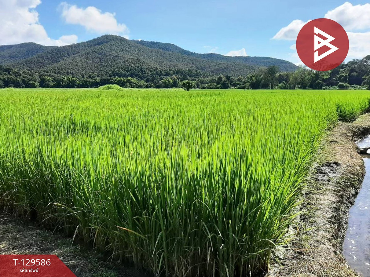 ขายที่ดินเชียงใหม่ : ขายที่ดิน เนื้อที่ 3 ไร่ 32.7 ตารางวา ดอยสะเก็ด เชียงใหม่