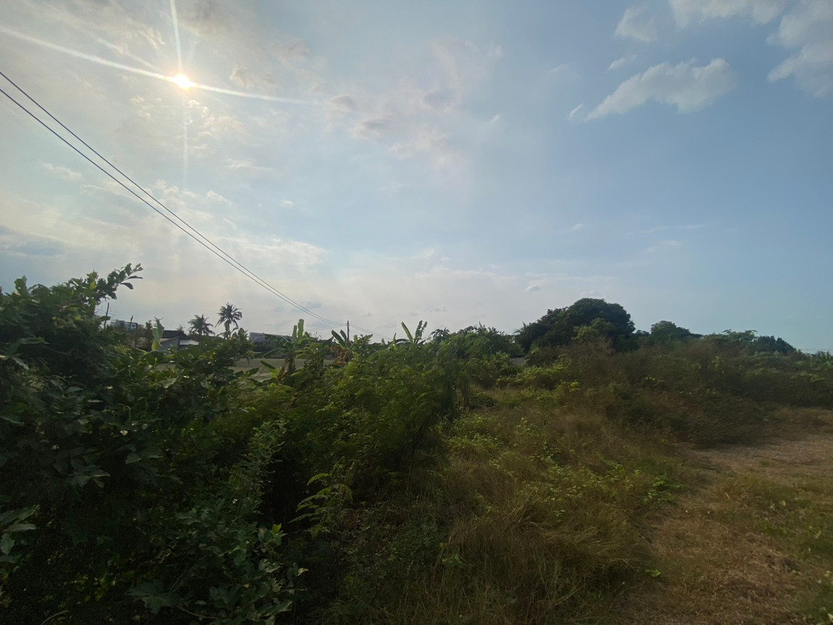 ขายที่ดินนครปฐม : ขายที่ดิน 1 ไร่ บางเตย หลังเซ็นทรัลศาลายา ใกล้ถนนบรมราชชนนี  ที่ดินรูปสี่เหลี่ยม ถนนเข้าถึง เเปลงริมใน 