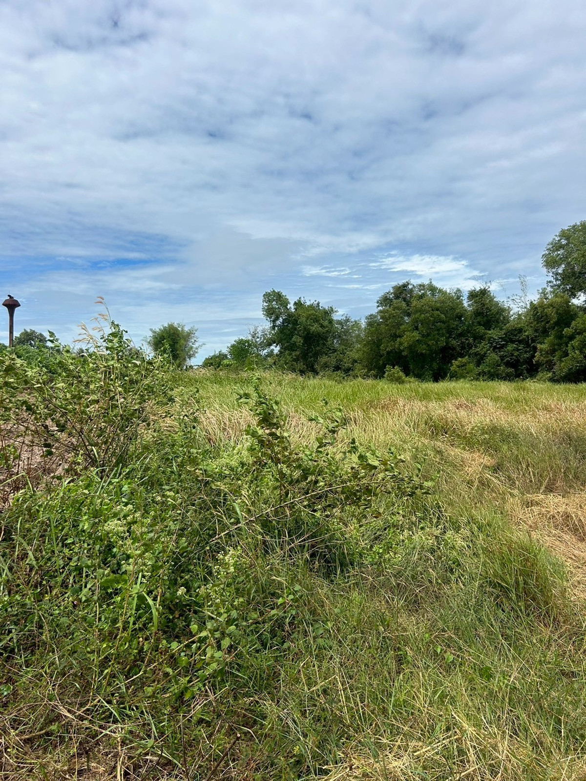 ขายที่ดินปราจีนบุรี : ขายที่ดินเปล่า 21-0-31 ไร่ ติดถนนสุวรรณเกสร ต.โพธิ์งาม อ.ประจันตคาม จ.ปราจีนบุรี ราคา 22,000,000 บาท