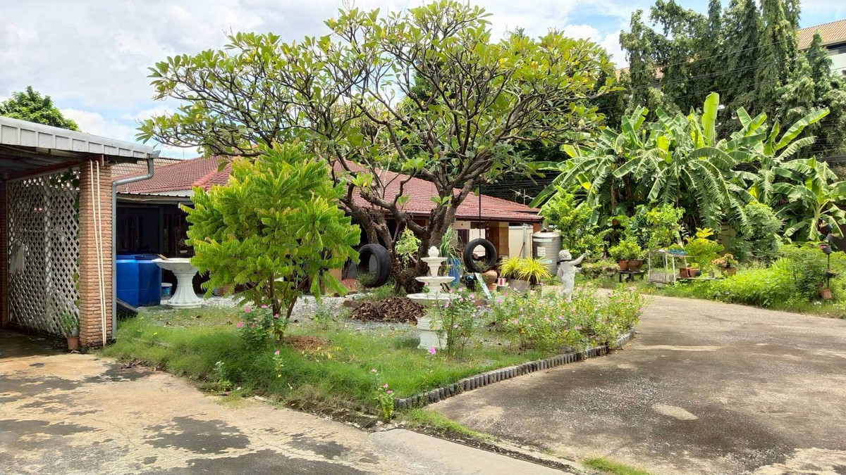 ขายที่ดินลาดพร้าว101 แฮปปี้แลนด์ : ขายที่ดินลาดพร้าว ขายที่ดินบางกะปิ ที่ดินเปล่าพร้อมบ้านชั้นเดียว ซอยลาดพร้าว 107 แยก 4 ใกล้เดอะมอลล์บางกะปิ ขายที่ดินลาดพร้าวซอย 107 แยก 4 เหมาะสร้างหอพัก สร้างอพาร์ทเม้นท์ หรือสร้างบ้านหลังใหญ่ ขายที่ดินลาดพร้าว กรุงเทพ