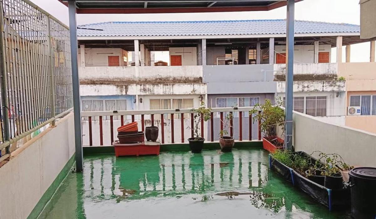 ขายอาคารพาณิชย์อ่อนนุช อุดมสุข : ขายอาคารพาณิชย์ตกแต่งใหม่ 4 ชั้นครึ่ง  บางจาก เขต พระโขนง กรุงเทพ CX-140883