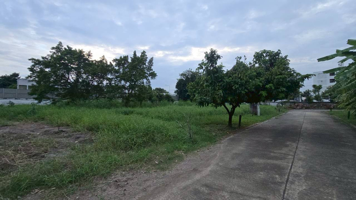 ขายที่ดินวิภาวดี ดอนเมือง หลักสี่ : 	ขายที่ดินแปลงสวย หมู่บ้าน Beverly Hill ดอนเมือง เนื้อที่ 499.1 ตร.วา