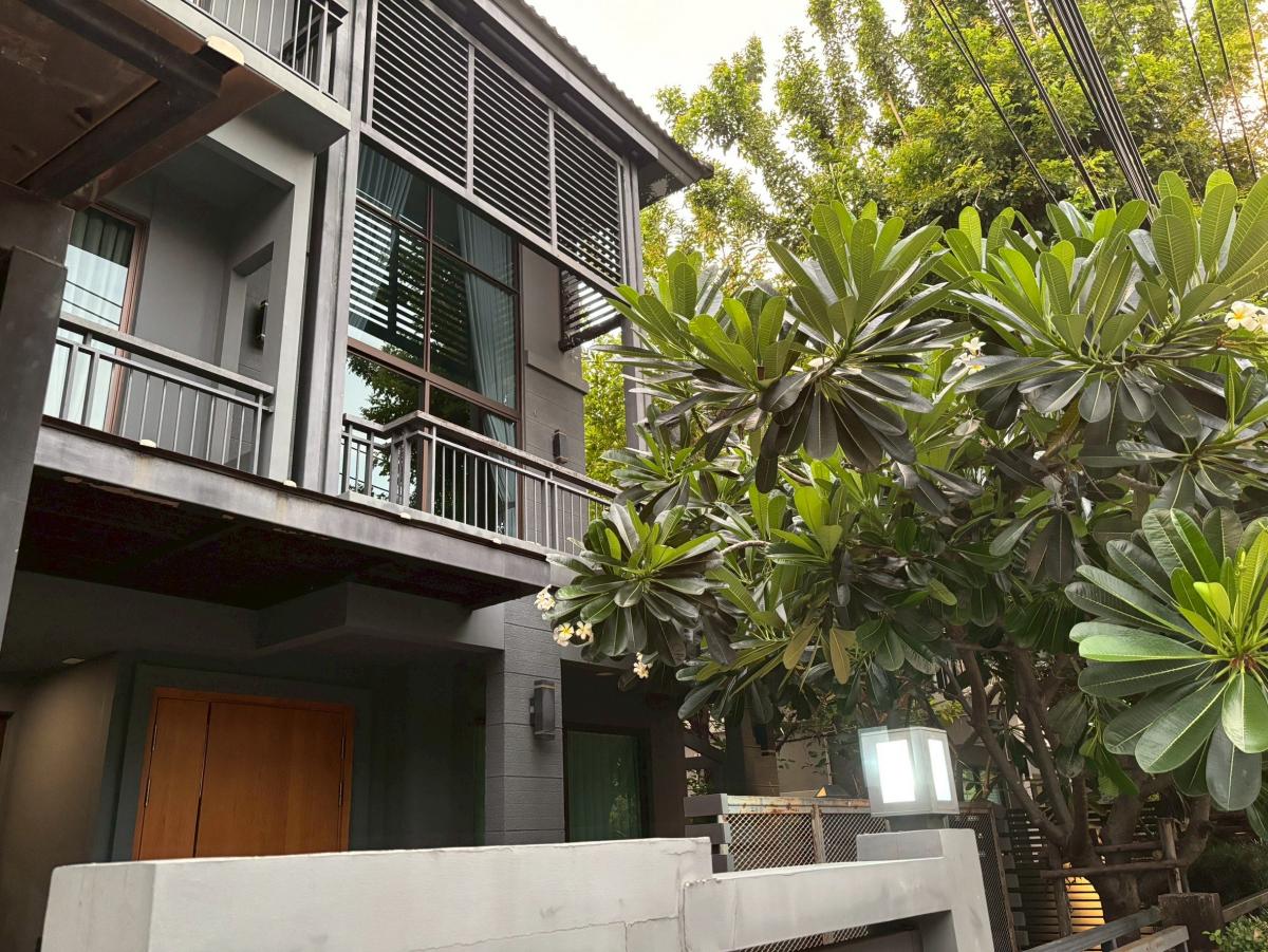 ขายบ้านพัฒนาการ ศรีนครินทร์ : 19/02/2026, บ้านเดี่ยวหรู 3 ห้องนอน The Plant Elite พัฒนาการ 38 พื้นที่กว้าง 260 ตรม บนที่ดิน 56.7 ตร.วา ราคาพิเศษ 18 ล้าน!