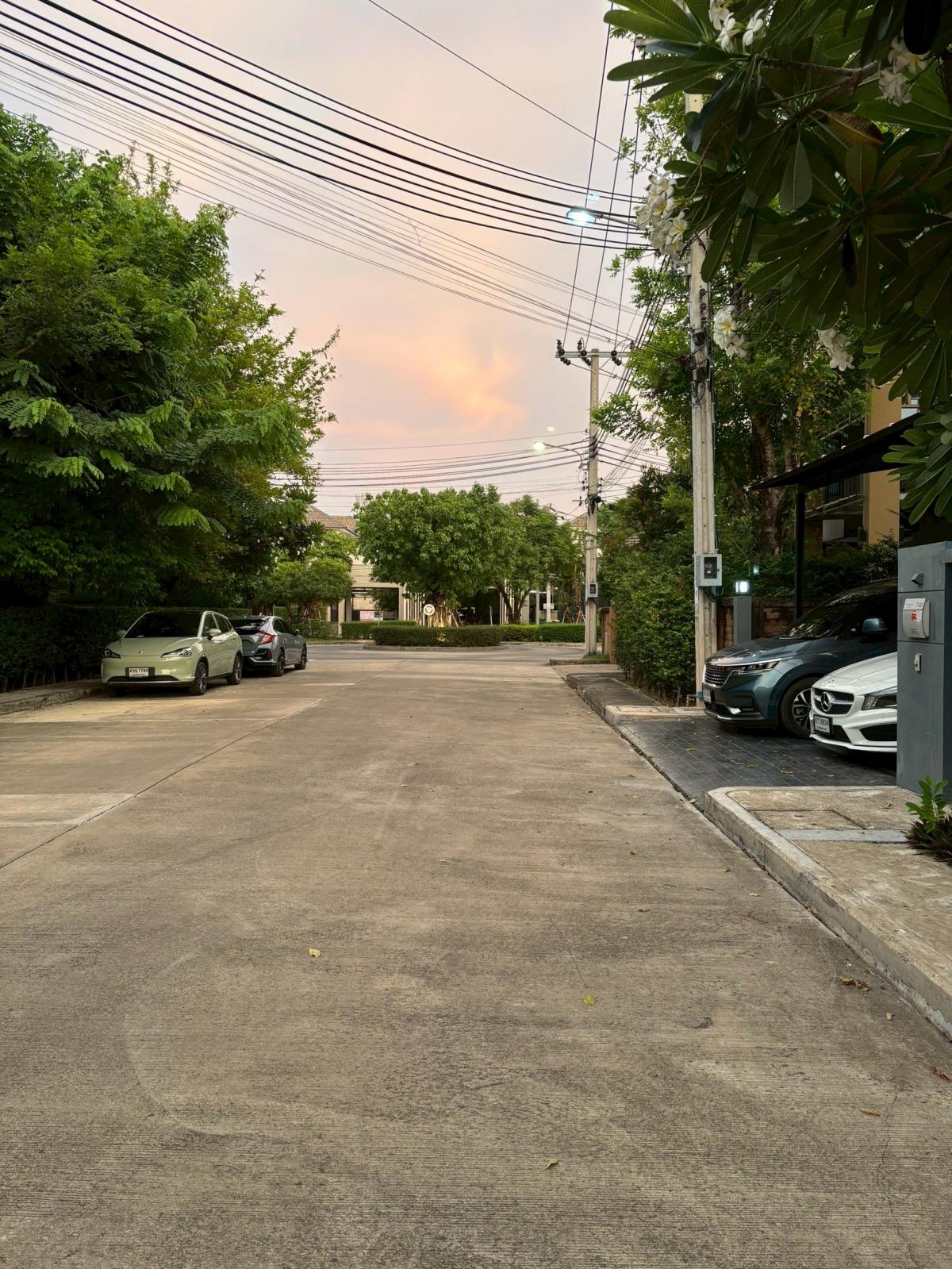 ขายบ้านพัฒนาการ ศรีนครินทร์ : 19/02/2026, บ้านเดี่ยวหรู 3 ห้องนอน The Plant Elite พัฒนาการ 38 พื้นที่กว้าง 260 ตรม บนที่ดิน 56.7 ตร.วา ราคาพิเศษ 18 ล้าน!