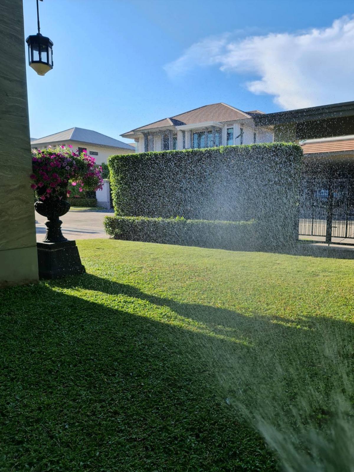 ขายบ้านพระราม 2 บางขุนเทียน : 19/02/2026, Narasiri Rama 2 บ้านเดี่ยว 4 ห้องนอน พร้อมพื้นที่กว้าง 321 ตรม. ทำเลทองย่านพระราม 2 ราคาดีสุด 20.9 ล้าน!