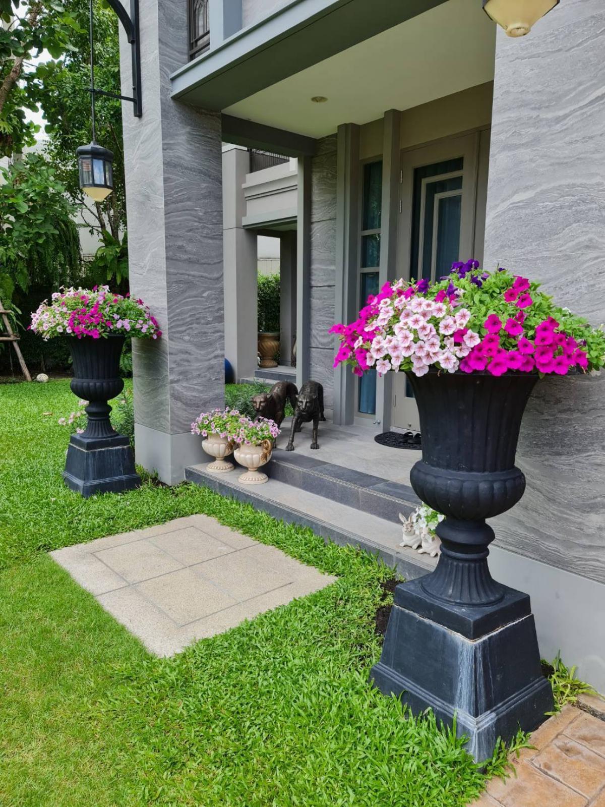 ขายบ้านพระราม 2 บางขุนเทียน : 19/02/2026, Narasiri Rama 2 บ้านเดี่ยว 4 ห้องนอน พร้อมพื้นที่กว้าง 321 ตรม. ทำเลทองย่านพระราม 2 ราคาดีสุด 20.9 ล้าน!