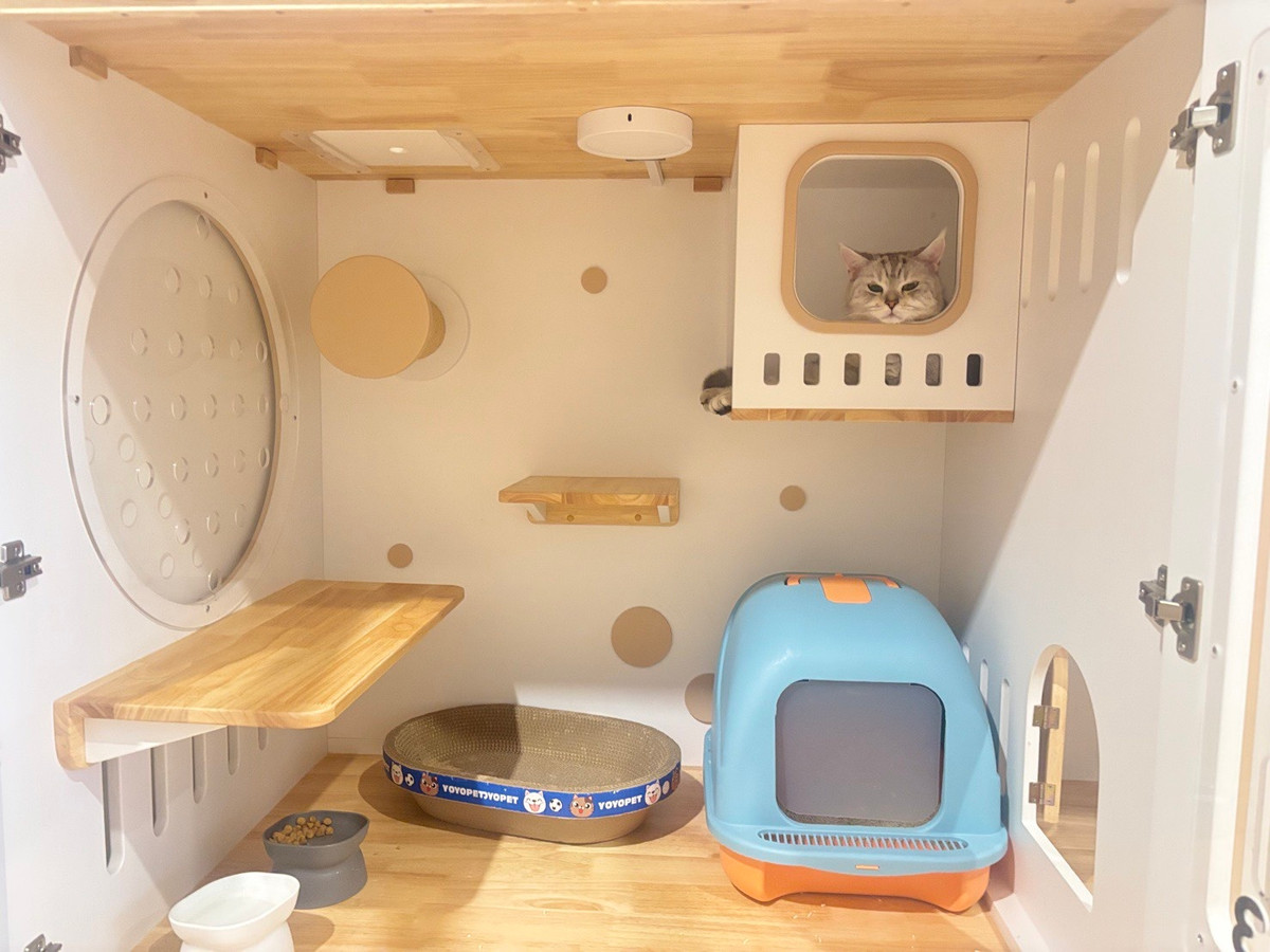 เซ้งพัฒนาการ ศรีนครินทร์ : ปล่อยเซ้ง โรงแรมแมว+ร้านคาเฟ่ ริมถนนพระราม 9 ซอย 41  ใกล้โรงพยาบาลสัตว์