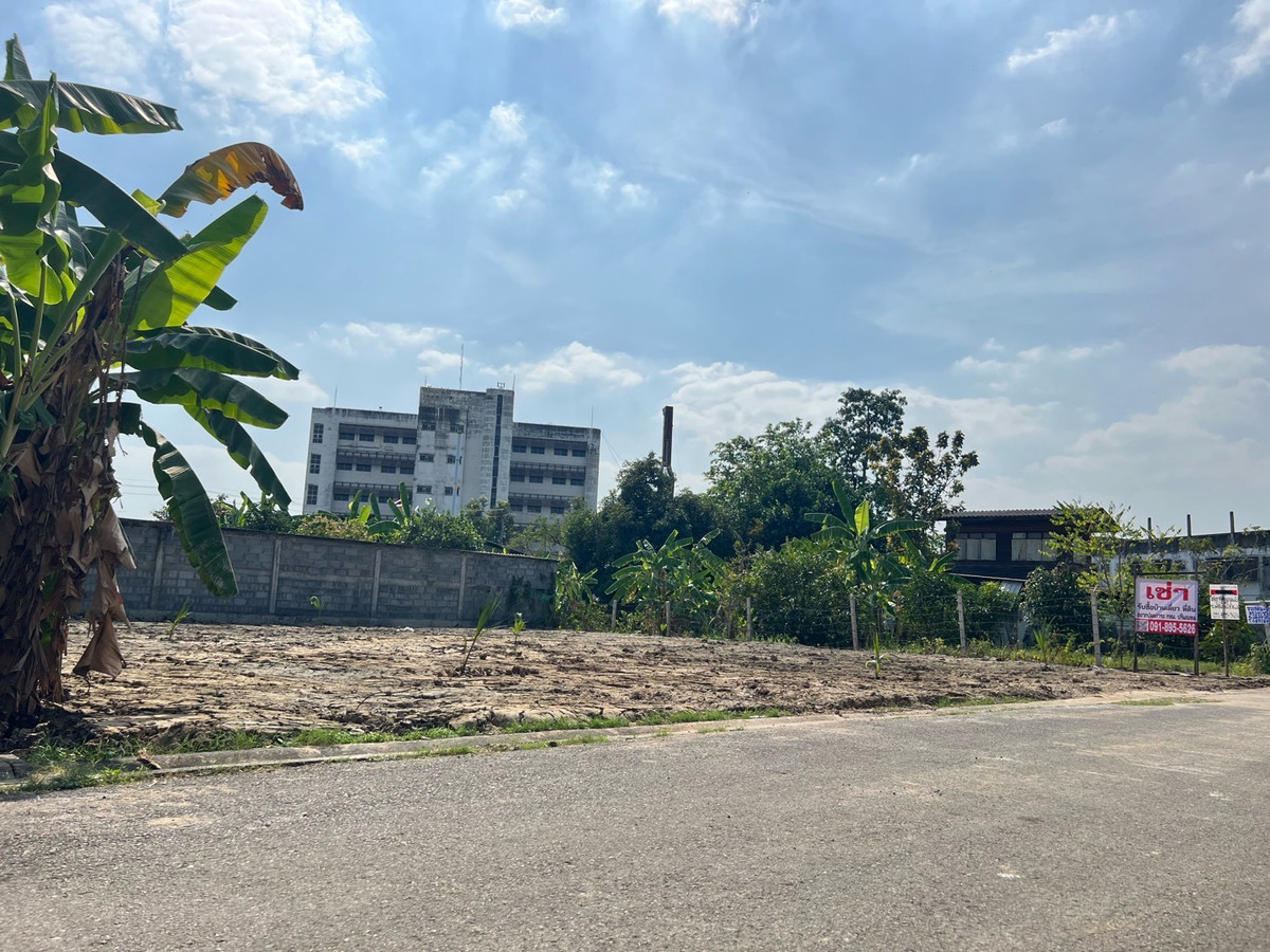 For RentLandBang kae, Phetkasem : Land for rent 107 sq m., square shape. Width 20 meters Soi Phetkasem 108, Intersection 3 เหมาะทำเนอรส์ซิ่งโฮม clinic, store, storage