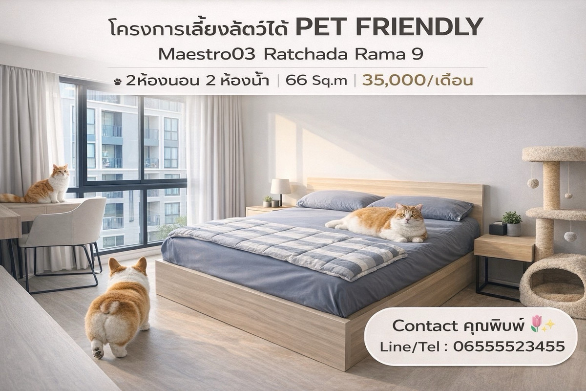 ให้เช่าคอนโดพระราม 9 เพชรบุรีตัดใหม่ RCA : ให้เช่า Maestro 03 Ratchada-Rama 9✨Pet friendly 🐈🐶✨