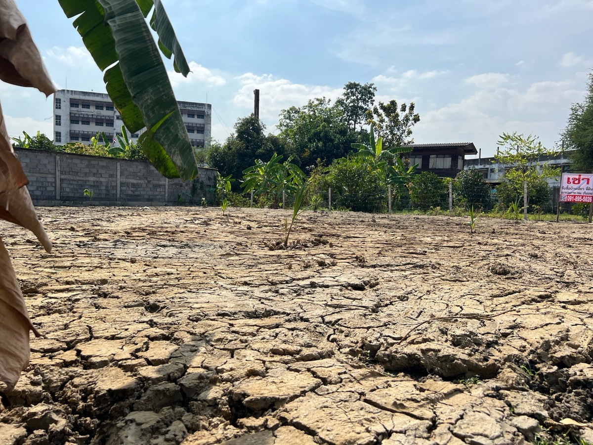 For RentLandBang kae, Phetkasem : Land for rent 107 sq m., square shape. Width 20 meters Soi Phetkasem 108, Intersection 3 เหมาะทำเนอรส์ซิ่งโฮม clinic, store, storage