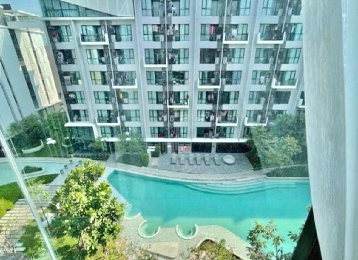 For SaleCondoPathum Thani,Rangsit, Thammasat : Urgent sale, pool view room
