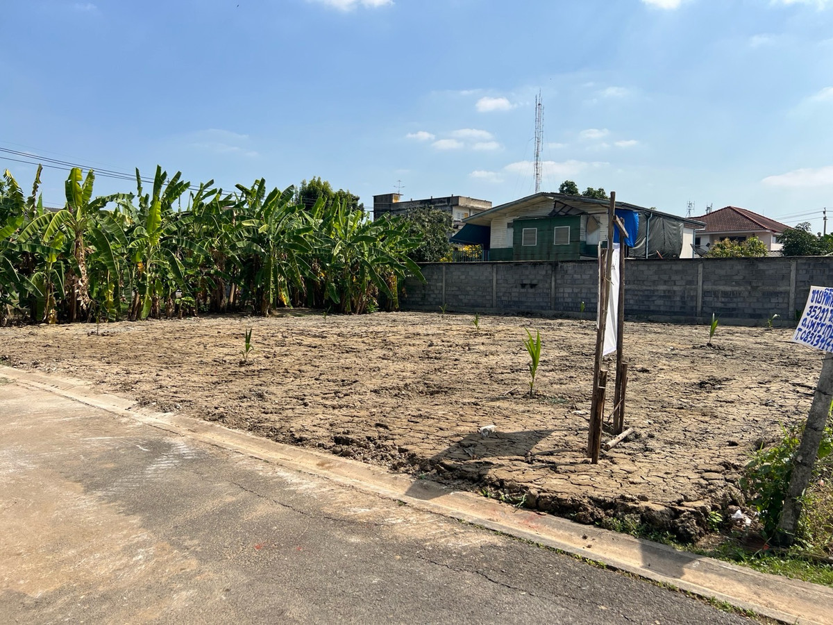 For RentLandBang kae, Phetkasem : Land for rent 107 sq m., square shape. Width 20 meters Soi Phetkasem 108, Intersection 3 เหมาะทำเนอรส์ซิ่งโฮม clinic, store, storage