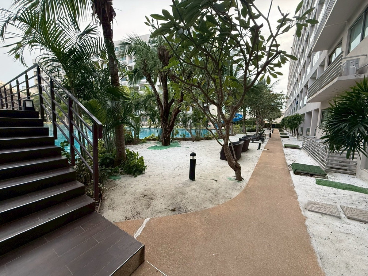 ให้เช่าคอนโดพัทยา บางแสน ชลบุรี สัตหีบ : ให้เช่าคอนโด ลากูน่า บีช 3 มัลดีฟส์ จอมเทียน พัทยา ชั้น1 ติดกับสระว่ายน้ำ Studio Room Pool Access 