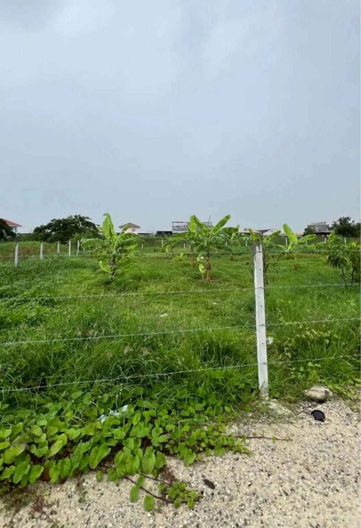 For SaleLandLadkrabang, Suwannaphum Airport : Land for sale in Pattanakarn 111, area 5-0-28 rai.