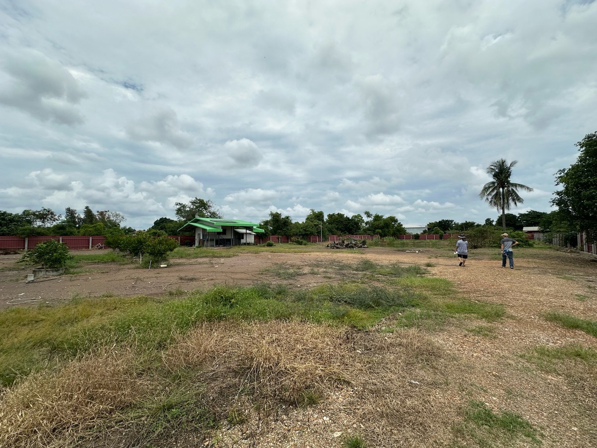 ให้เช่าที่ดินปทุมธานี รังสิต ธรรมศาสตร์ : ให้เช่าที่ดินทำเลทอง 1 ไร่  ติดถนน 4 เลน ถนนปท 3004 (ลำลูกกา-รังสิต นครนายก) ใกล้แหล่งชุมชน เดินทางสะดวก