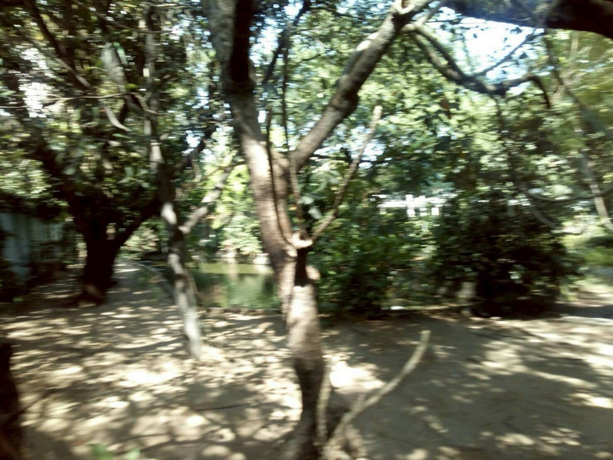 For SaleLandRatchathewi,Phayathai : Land for sale Prime Location Phetchaburi - Ratchathewi Road, Phaya Thai.
Near Pratunam – Baiyoke