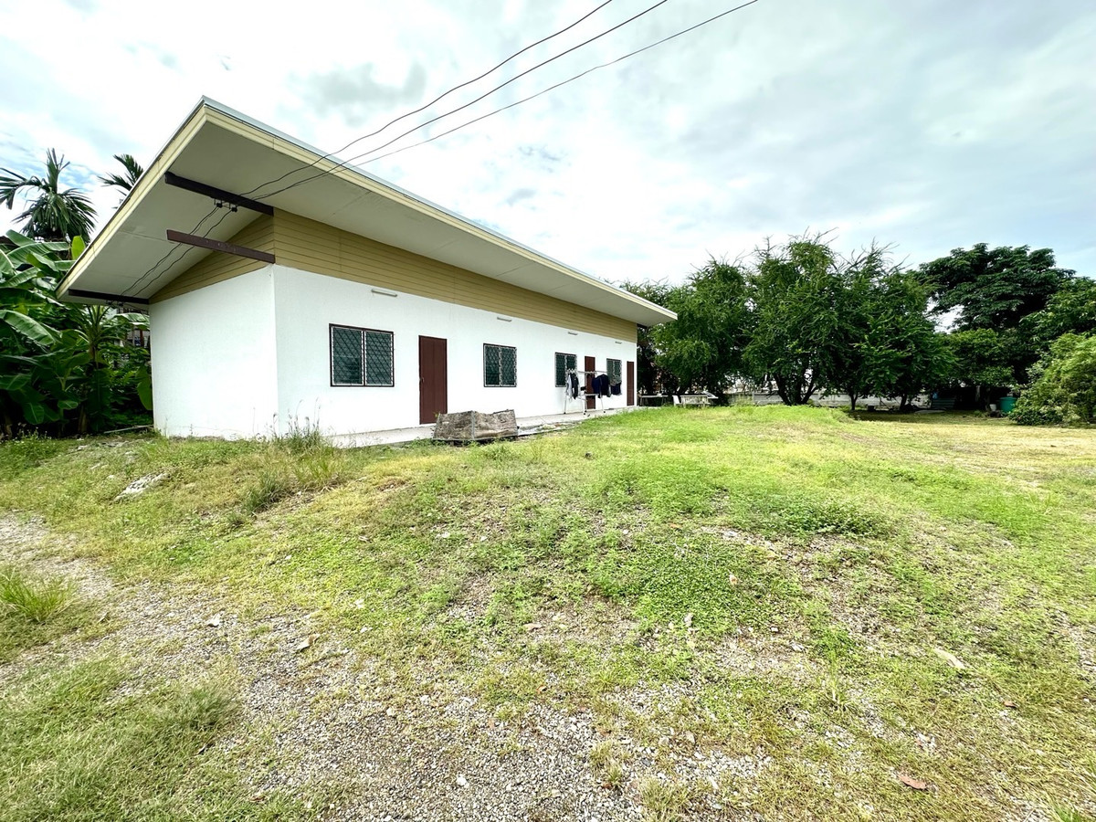 ให้เช่าที่ดินปทุมธานี รังสิต ธรรมศาสตร์ : ให้เช่าที่ดิน 300 ตรว. ทำเลทองติดถนน ใกล้ถนนนิมิตรใหม่ อ.ลำลูกกา คลอง 7 ปทุมธานี