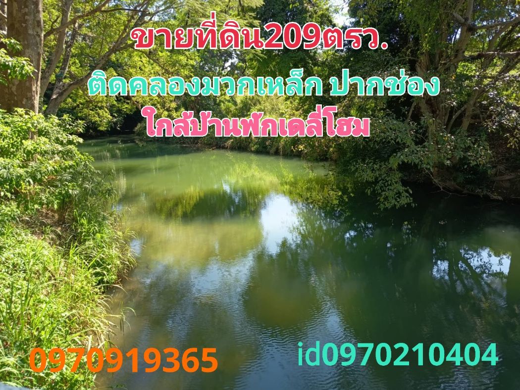 For RentLandPak Chong KhaoYai : Land for rent in a prime location for holiday homes, 209 square wah, next to Muak Lek canal, near Daily Home guesthouse, Pak Chong.