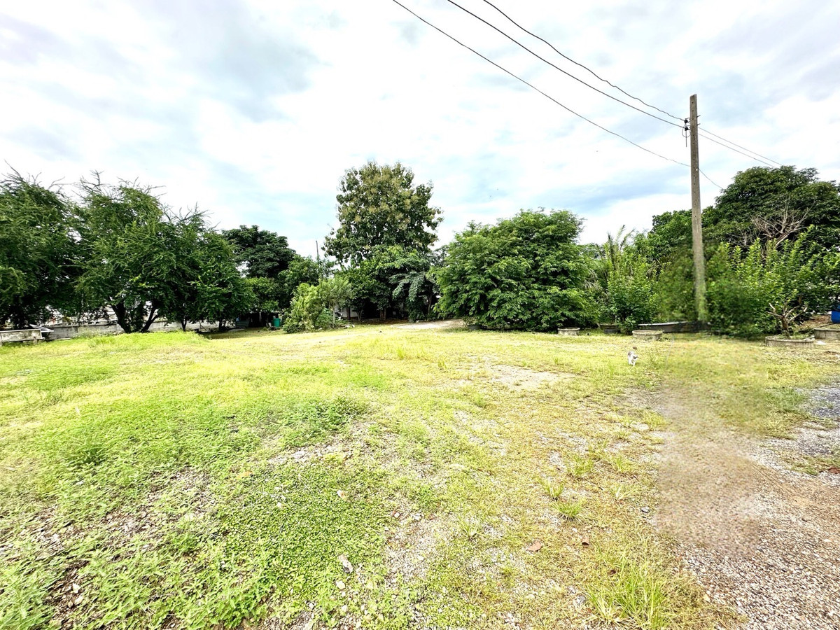 ให้เช่าที่ดินปทุมธานี รังสิต ธรรมศาสตร์ : ให้เช่าที่ดิน 300 ตรว. ทำเลทองติดถนน ใกล้ถนนนิมิตรใหม่ อ.ลำลูกกา คลอง 7 ปทุมธานี