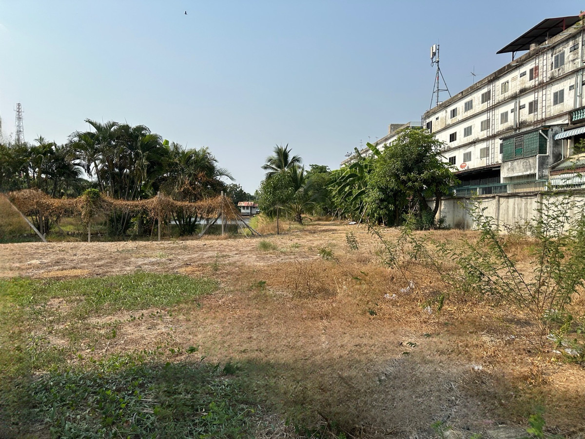 ให้เช่าที่ดินปทุมธานี รังสิต ธรรมศาสตร์ : ให้เช่าที่ดิน 300 ตรว. ทำเลทองติดถนน ใกล้ถนนนิมิตรใหม่ อ.ลำลูกกา คลอง 7 ปทุมธานี