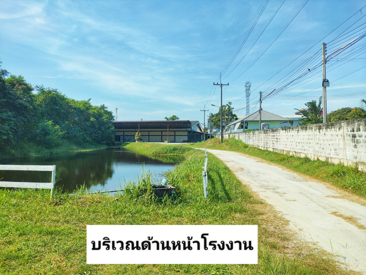 ขายโรงงานพัทยา บางแสน ชลบุรี สัตหีบ : ขายด่วน!! ที่ดินผังสีส้ม พร้อมโรงงาน โกดัง สำนักงาน และร้านค้า เนื้อที่ 5-0-19 ไร่ ทำเลทอง หายาก ใจกลางเมืองชลบุรี ติดถนนสุขสามารถ-สี่แยกวัดท้องคุ้ง ห่างถนนศุขประยูร (ทล. 315) เพียง 150 ม. ใกล้นิคมอมตะชลบุรี  