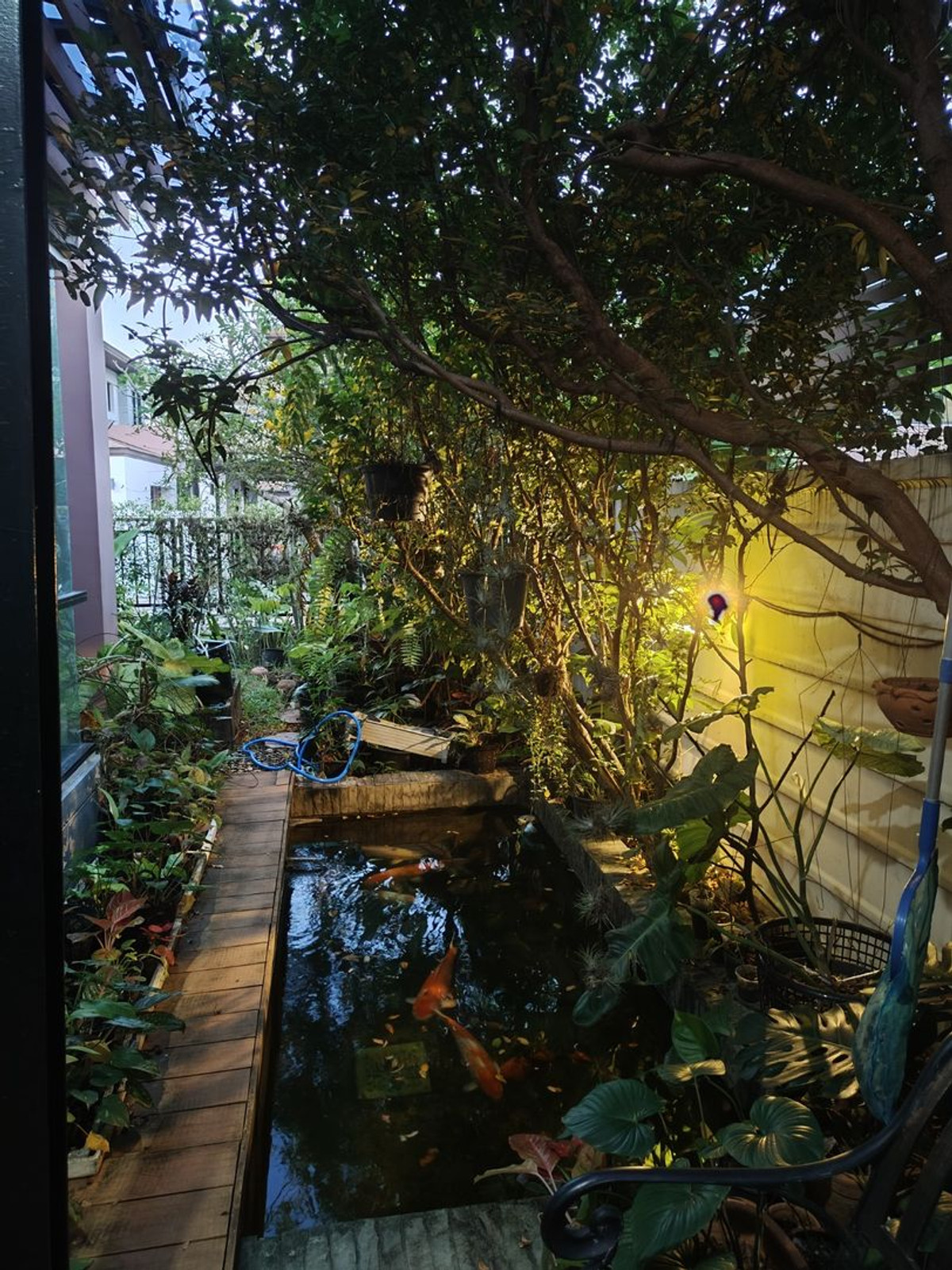 ขายบ้านมีนบุรี-ร่มเกล้า : 67.6ตรว 4นอน3น้ำ บ้านเดี่ยว 2 ชั้น  อควา ดิวินา รามคำแหง 94