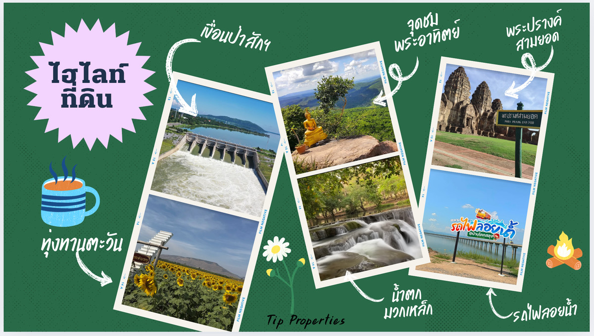 For SaleLandLop Buri : #Land Phatthana Nikhom #next to highway 2007 #Near Pa Sak Dam #Wang Kan Lueang Garden #sunflower field #WeekendRetreat #Profit since purchase