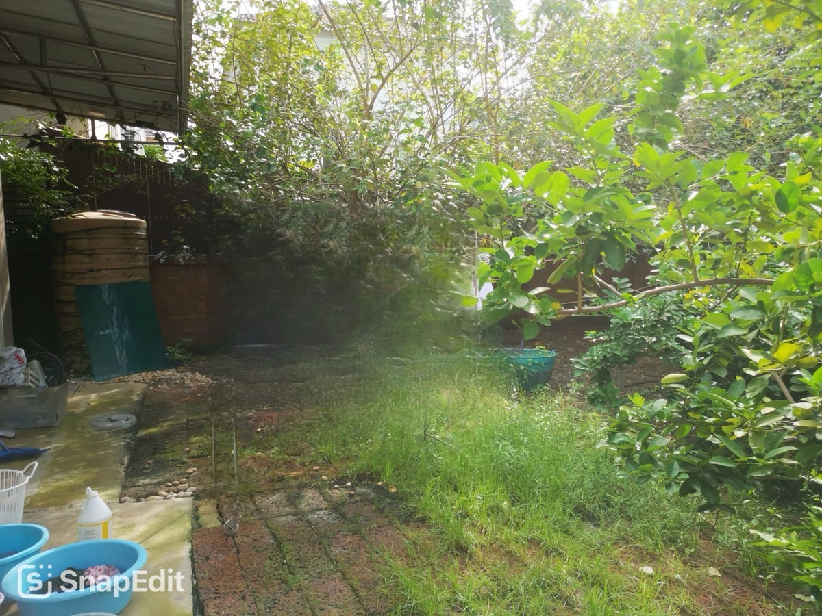 ขายบ้านพัฒนาการ ศรีนครินทร์ : ขายบ้านเดี่ยว The Plant Elite พัฒนาการ บ้านครอบครัวขนาดใหญ่ ใกล้ถนนสุขุมวิท