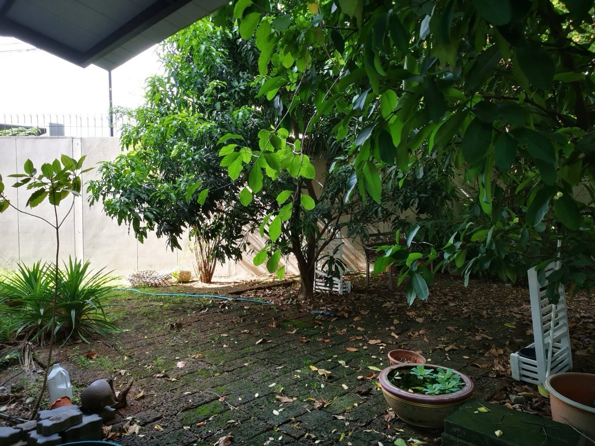 ขายบ้านพัฒนาการ ศรีนครินทร์ : ขายบ้านเดี่ยว The Plant Elite พัฒนาการ บ้านครอบครัวขนาดใหญ่ ใกล้ถนนสุขุมวิท