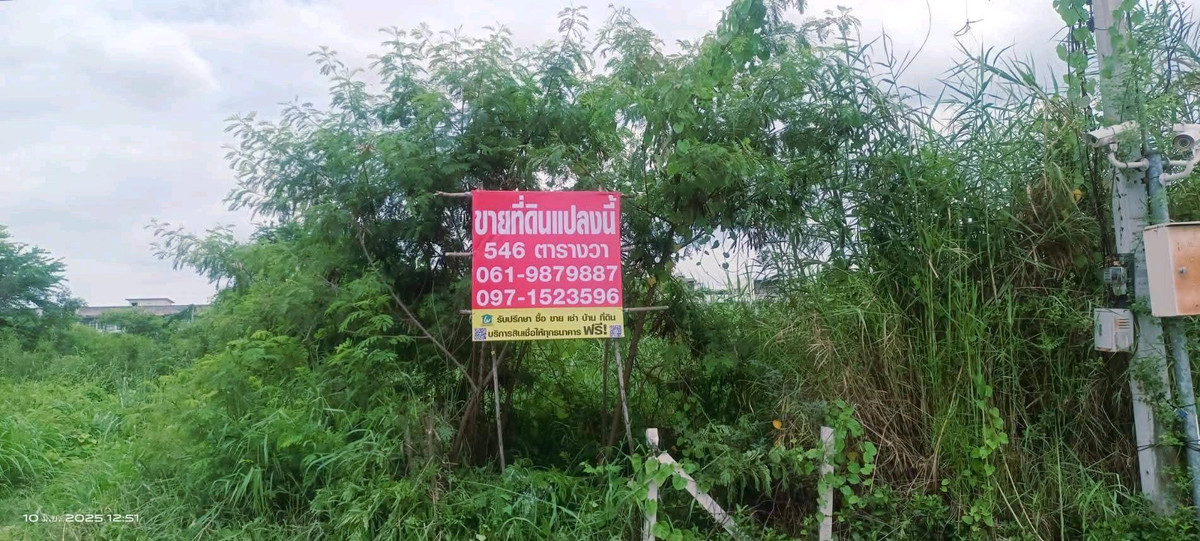 ขายที่ดินพุทธมณฑล ศาลายา : 🏡 ขายที่ดินแปลงสวย ทำเลทอง ซอยกระทุ่มล้ม 32